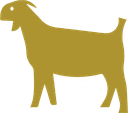 asset-17